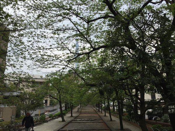 東京下町貼雑帳 山谷堀公園